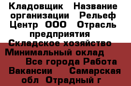 Кладовщик › Название организации ­ Рельеф-Центр, ООО › Отрасль предприятия ­ Складское хозяйство › Минимальный оклад ­ 28 000 - Все города Работа » Вакансии   . Самарская обл.,Отрадный г.